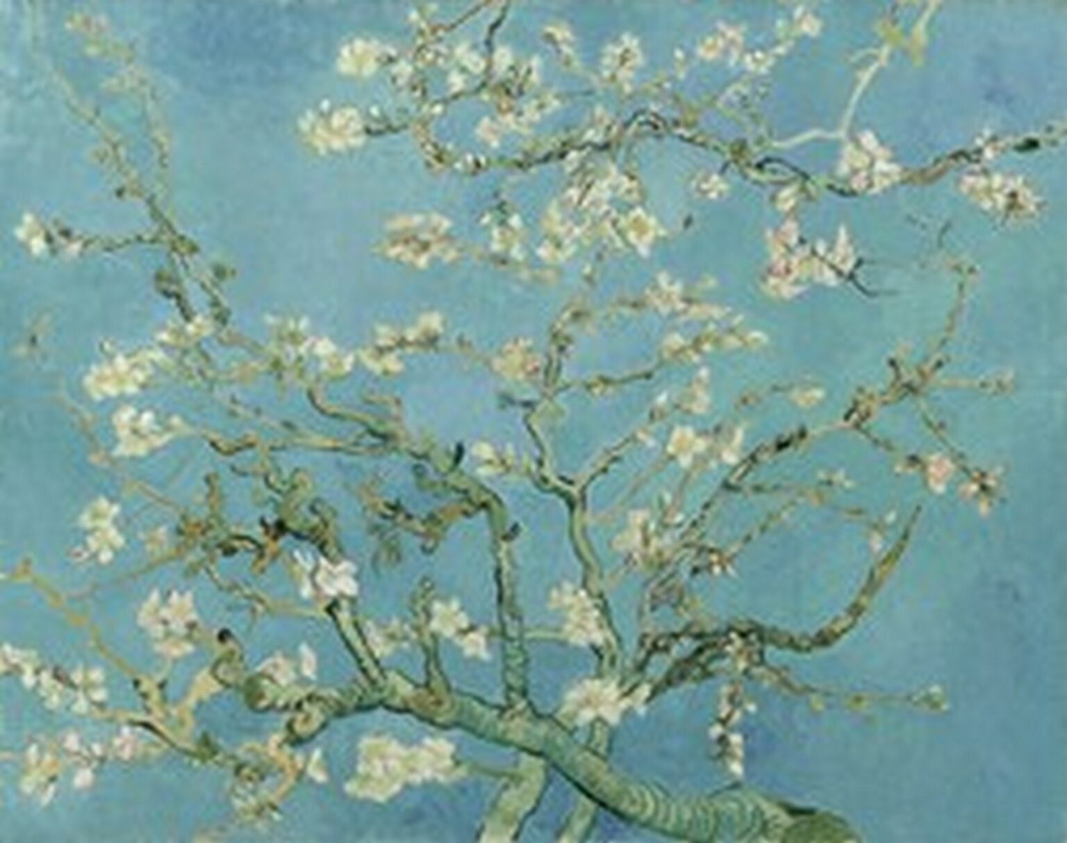 Van Gogh Almond Blossom (1890)