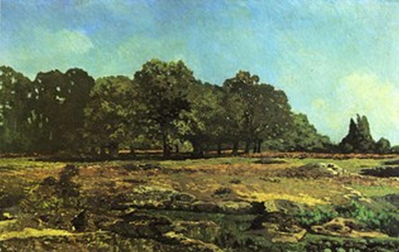 Sisley Avenue of Chestnut Trees near La Celle Saint-Cloud (1865)
