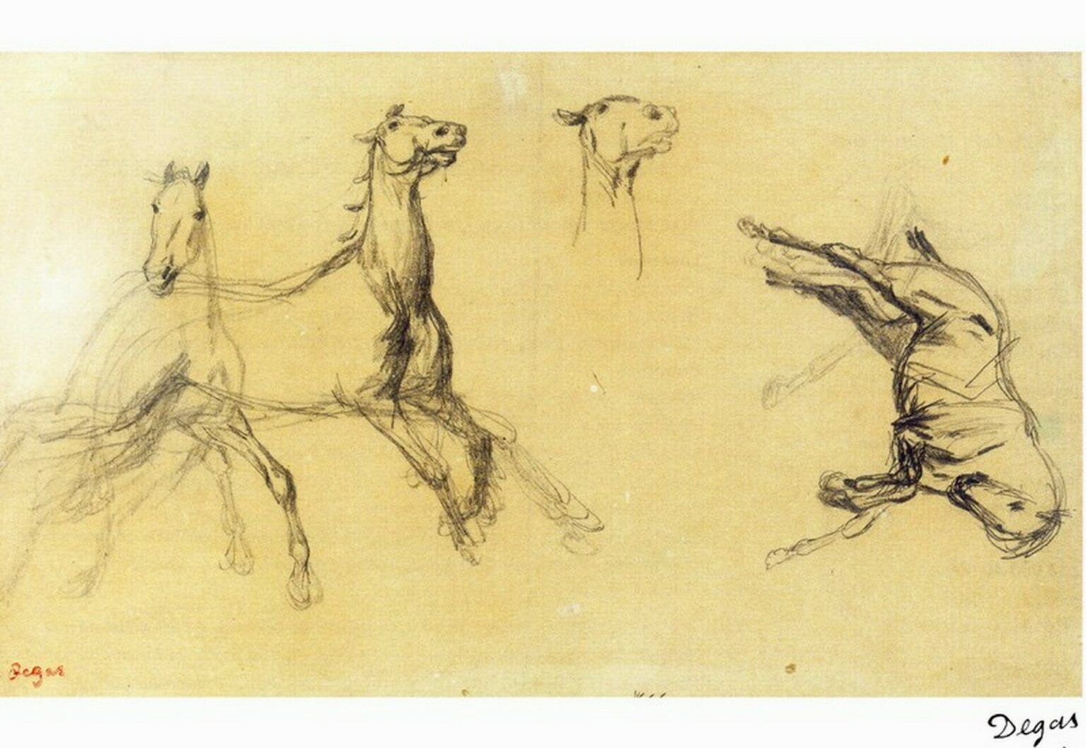 Degas Chevaux
