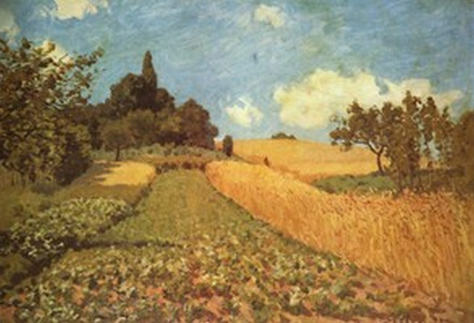 Sisley Cornfield (1873)