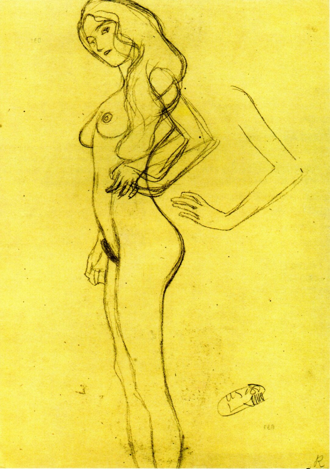 Klimt Drawings: Study Woman