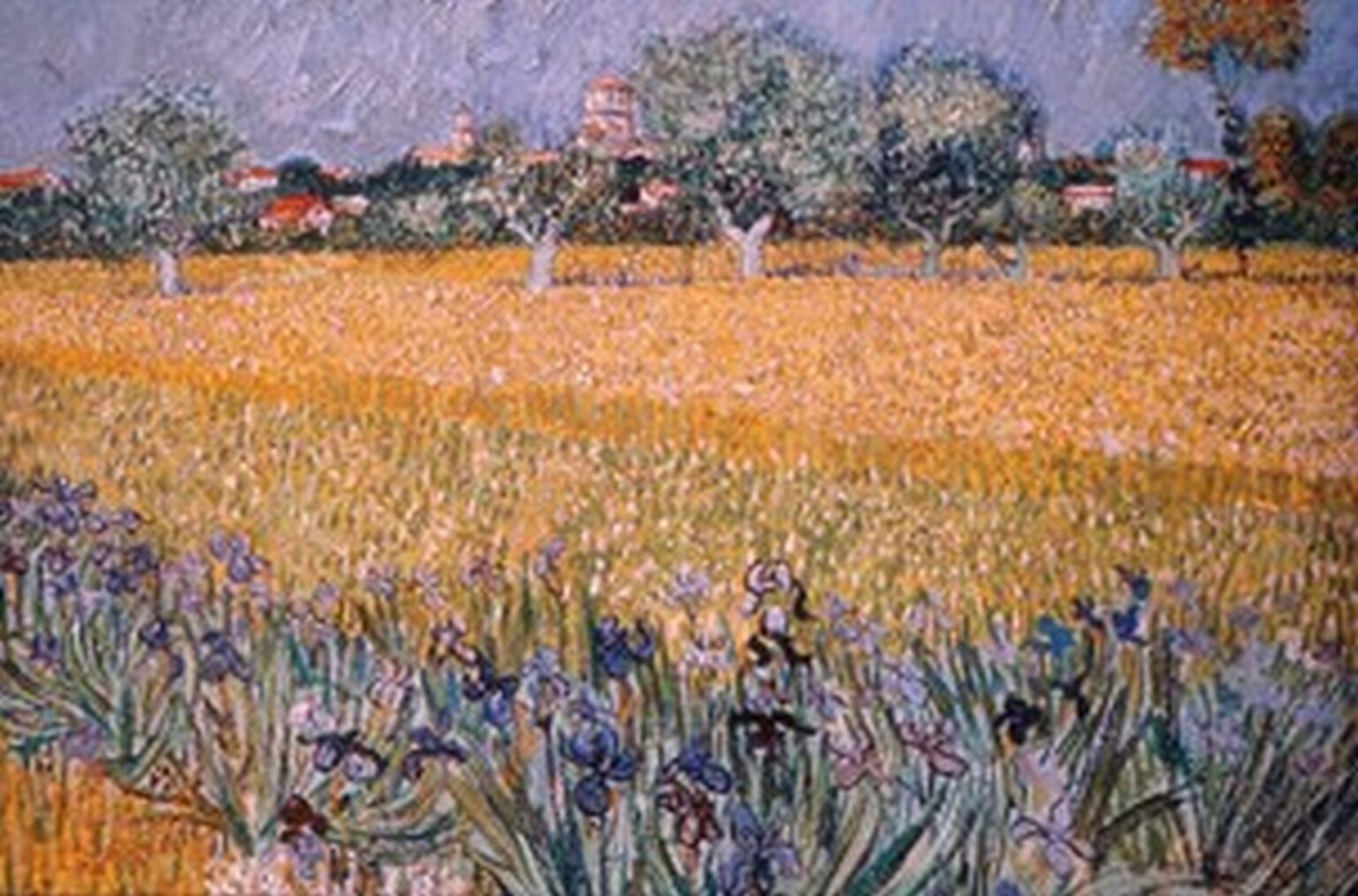 Van Gogh Field of Flowers near Arles