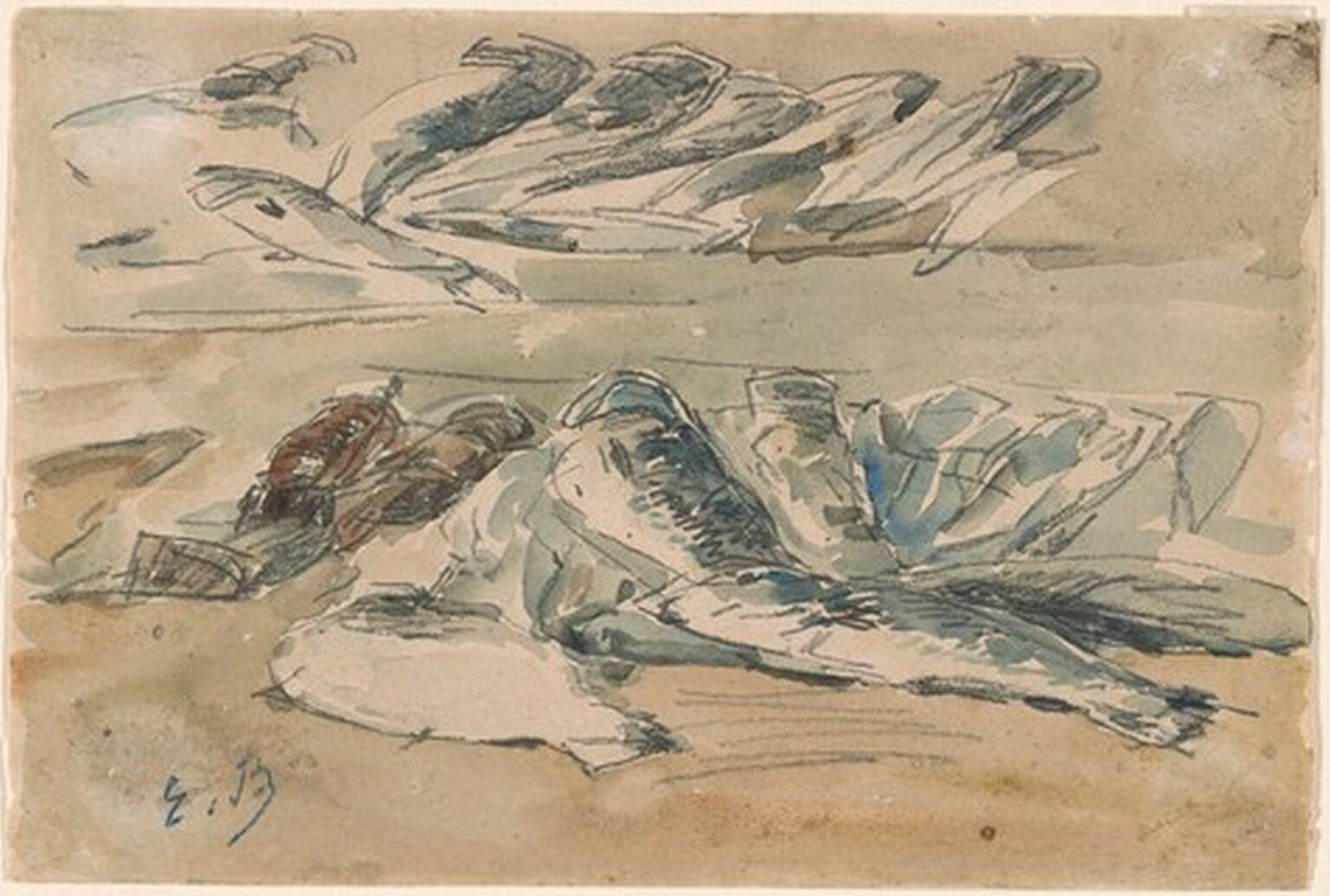 Boudin Fishes