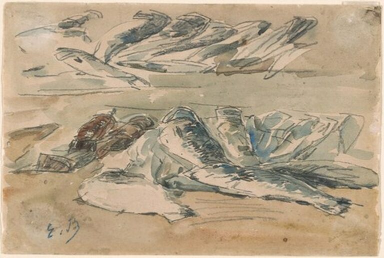 Boudin Fishes