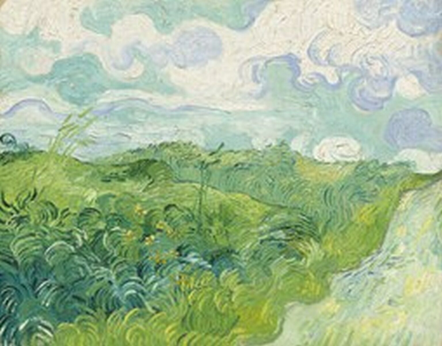 Van Gogh Green Wheat Fields, Auvers (1890)