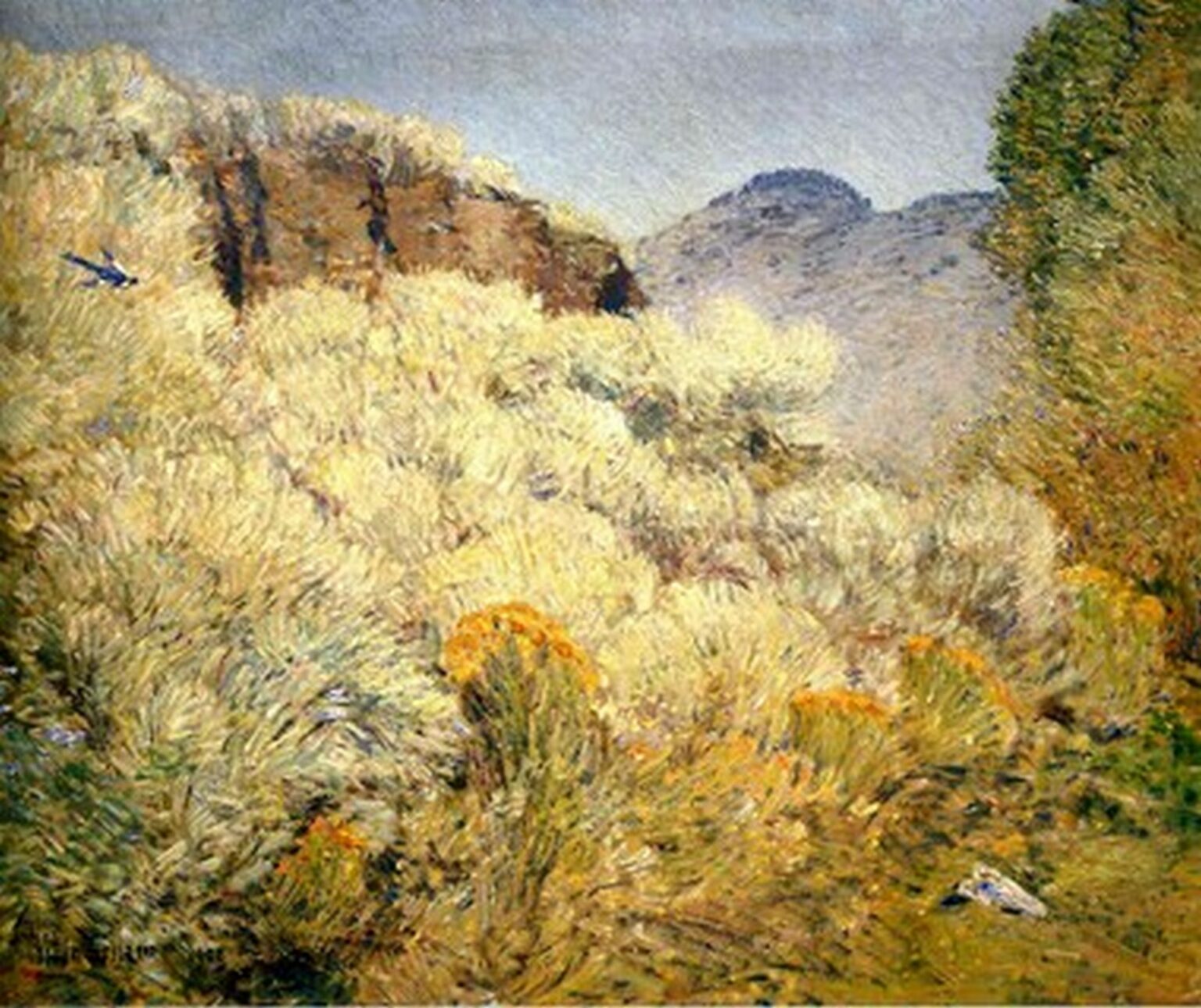 Hassam Harney Desert