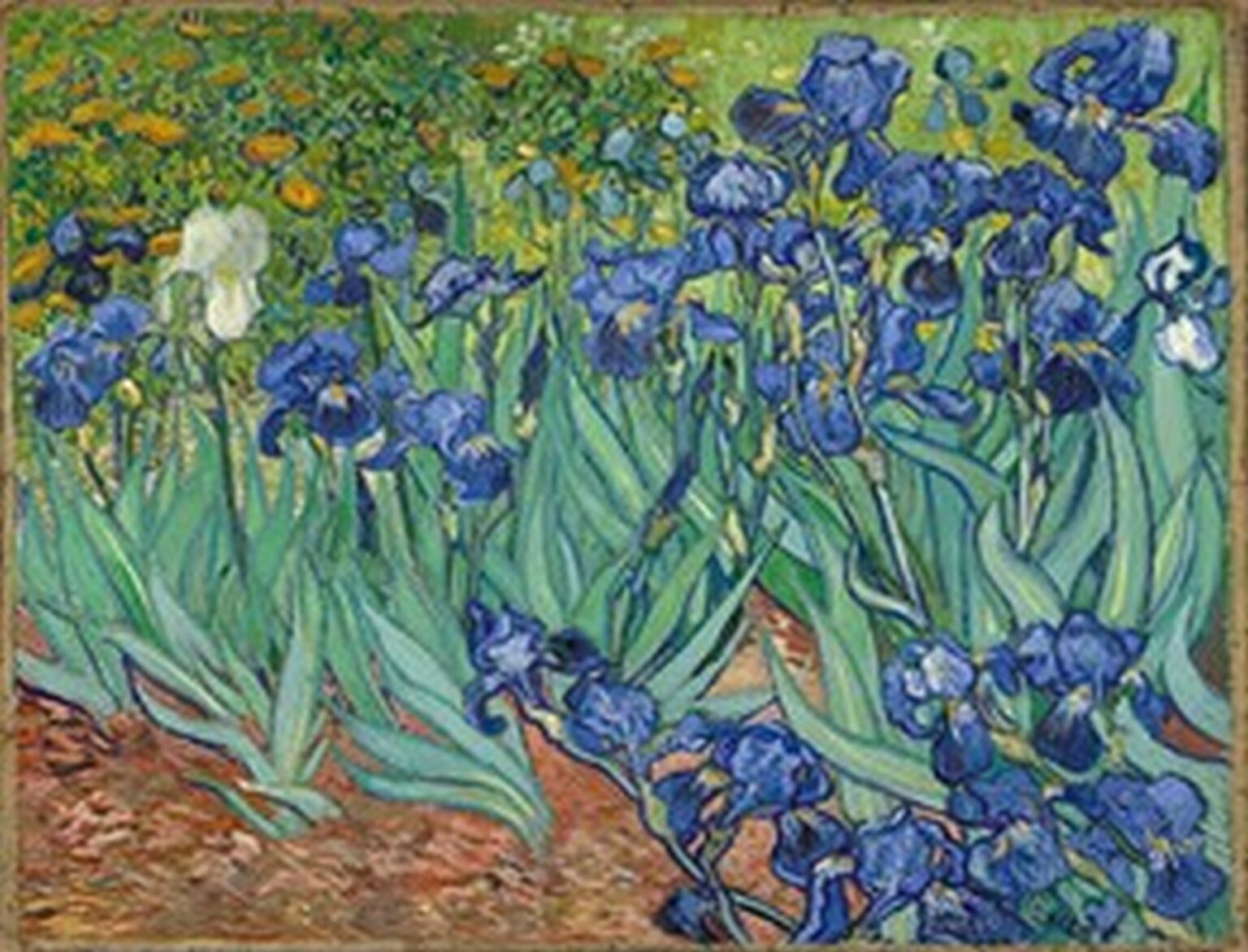Van Gogh Irises (1889)