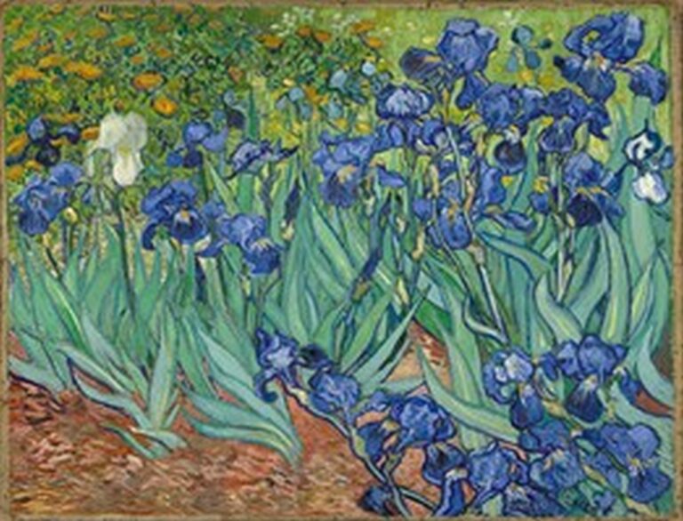 Van Gogh Irises (1889)