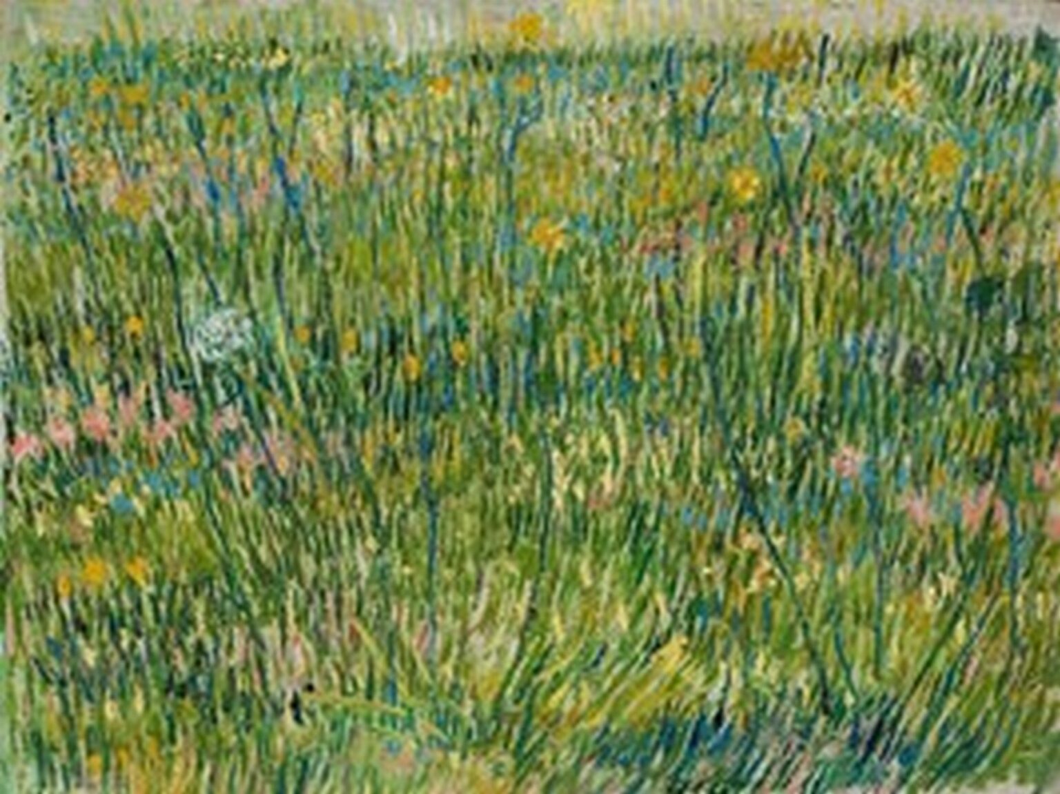 Van Gogh Patch of grass