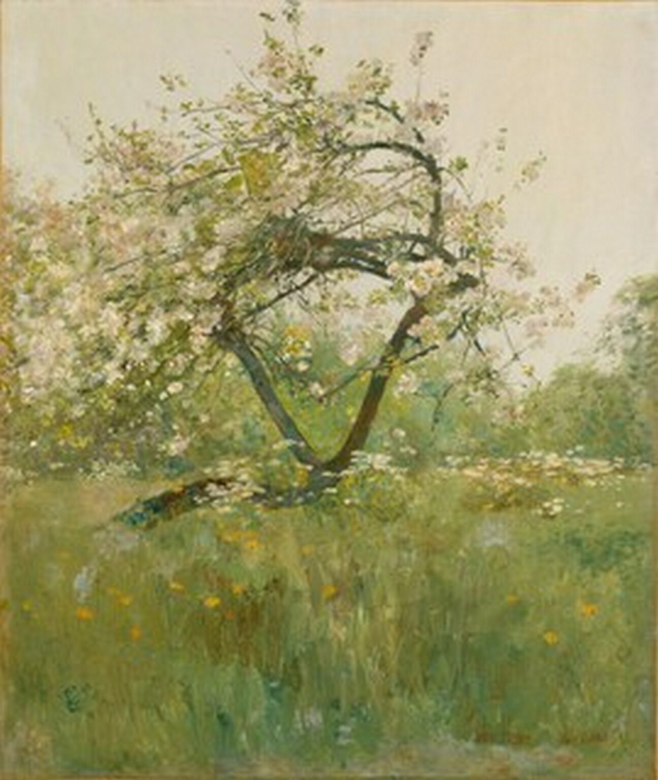 Hassam Peach Blossoms Villiers-le Bel (1887-89)