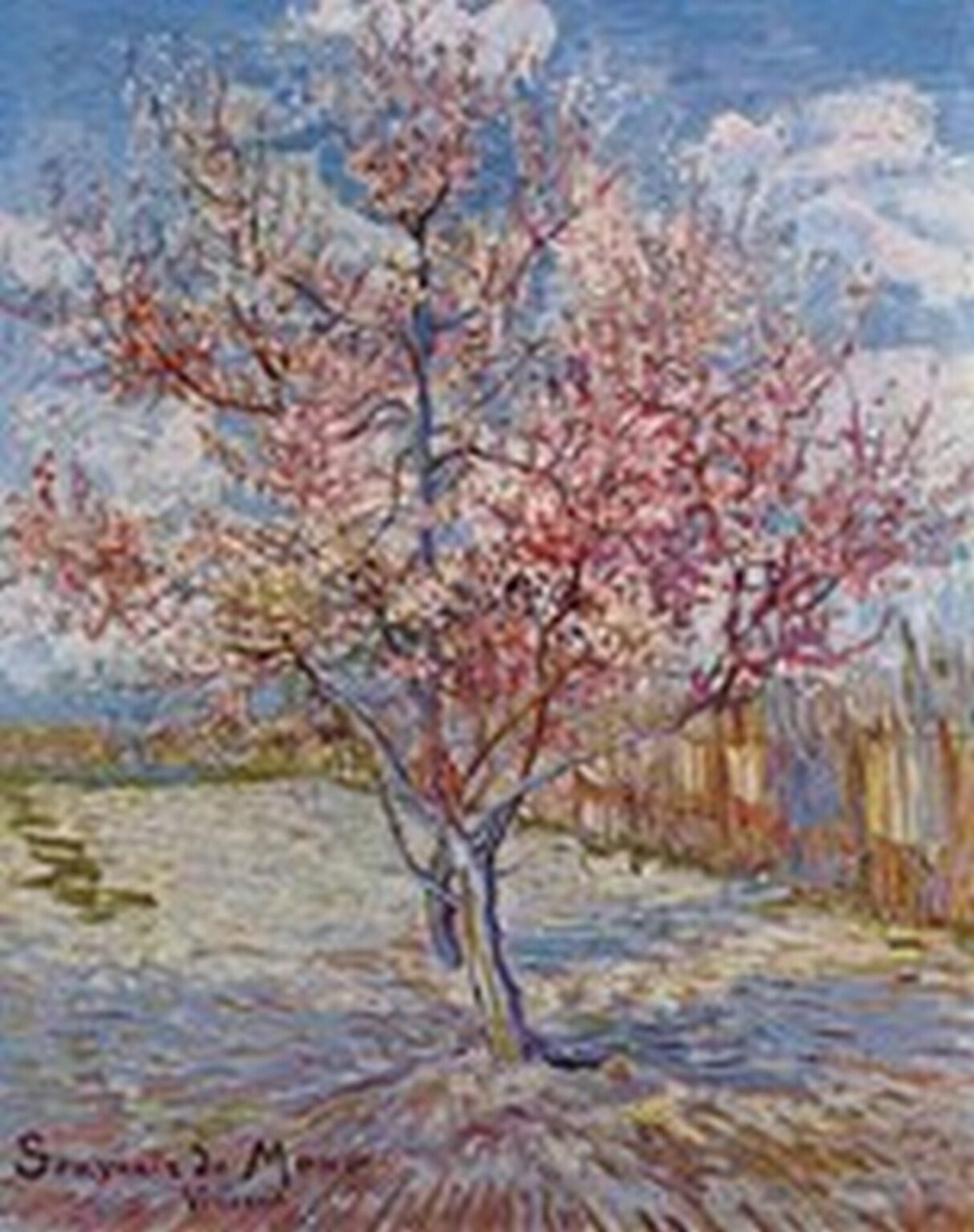 Van Gogh Peach Tree in Bloom (in memory of Mauve, 1888)