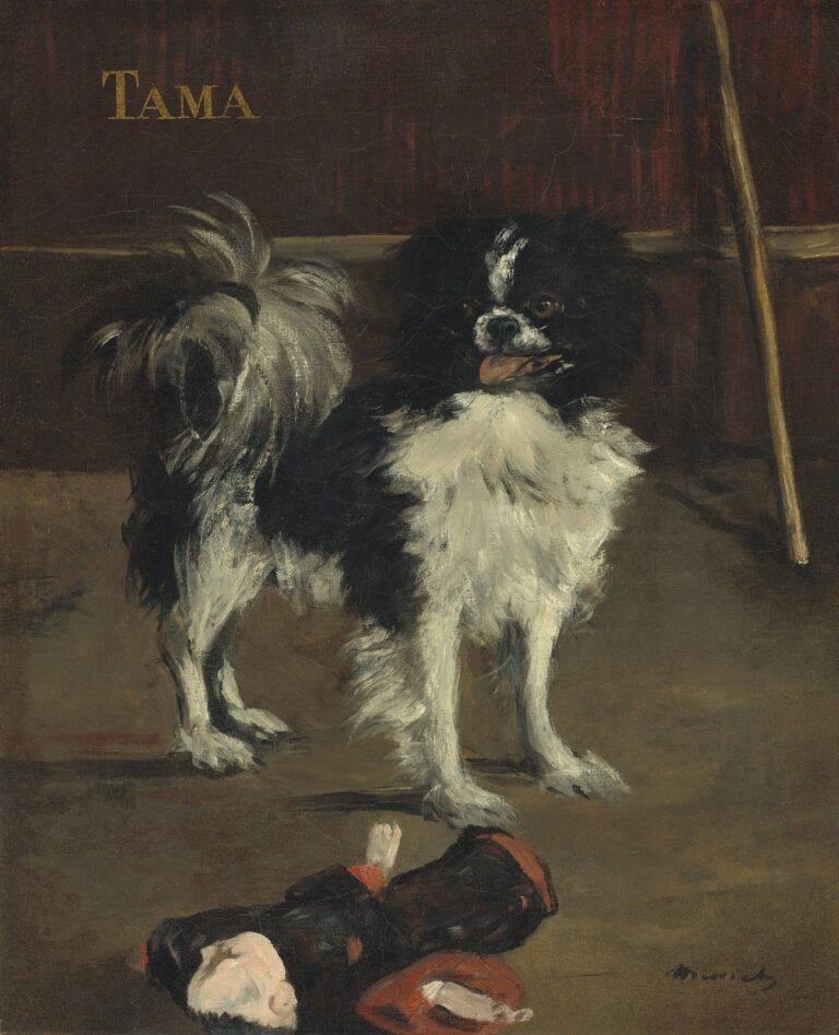Manet Tama, the Japanese Dog (c. 1875)