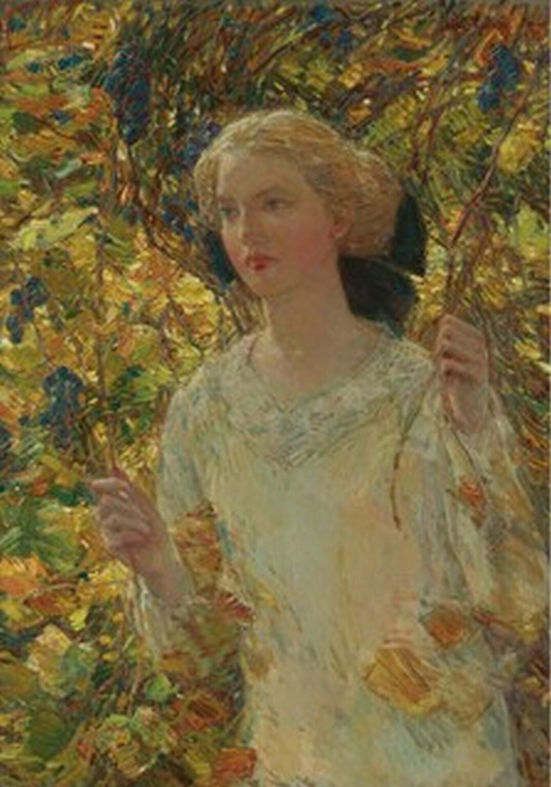 Hassam The Grapevine