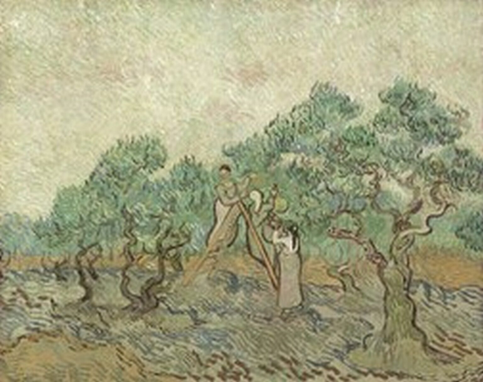 Van Gogh The Olive Orchard (1889)