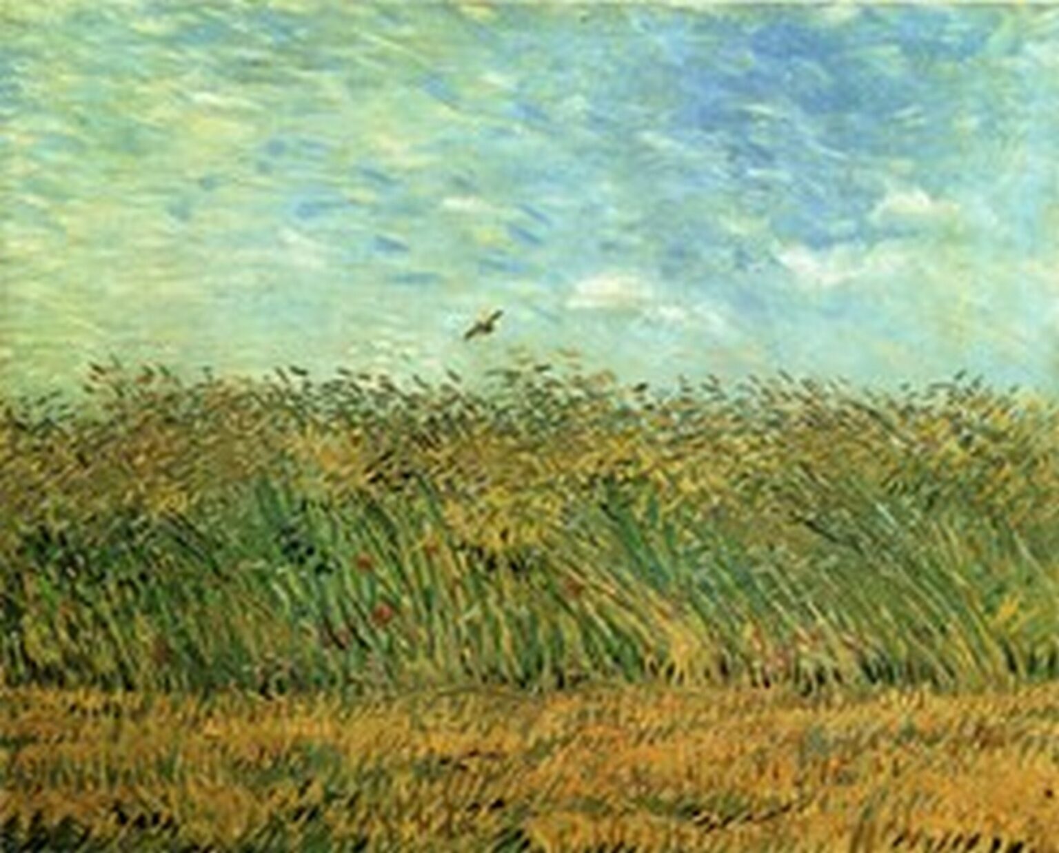 Van Gogh Trigal con alondra