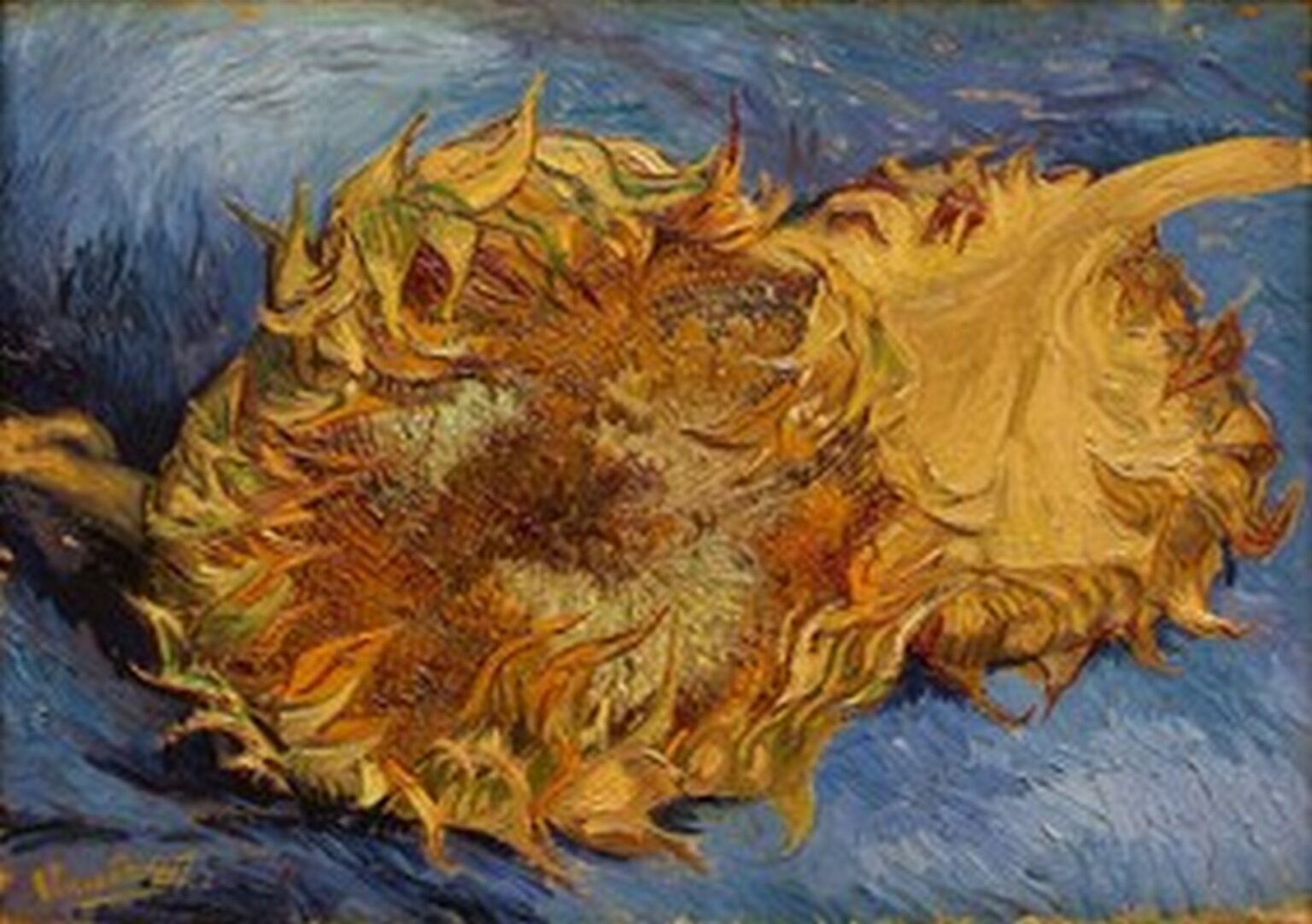 Van Gogh Two Cut Sunflowers (1887)