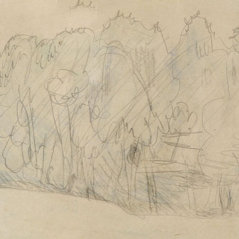 Bonnard Undergrowth (drawing)