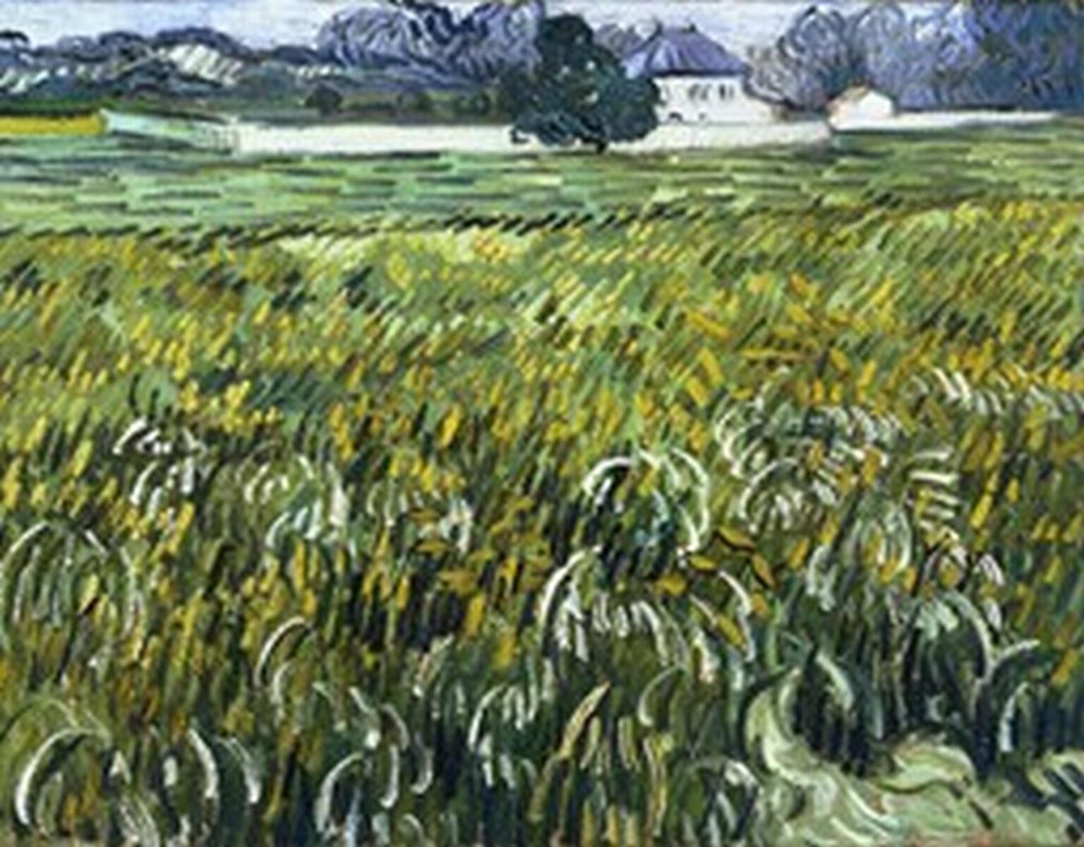 Van Gogh Wheat Field at Auvers with White House (June 1890)